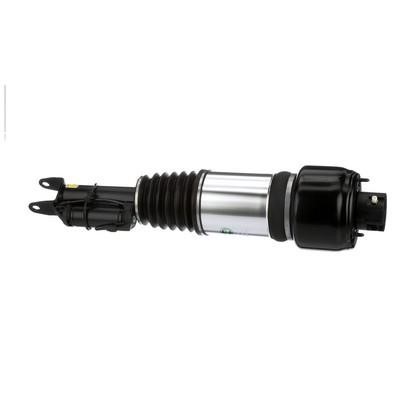 Arnott Front suspension shock absorber – price 3304 PLN