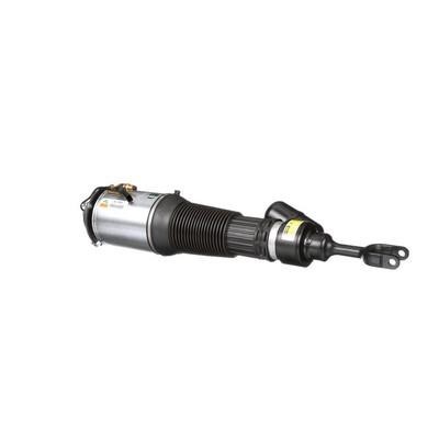 Arnott Front air shock absorber – price [object Object] PLN