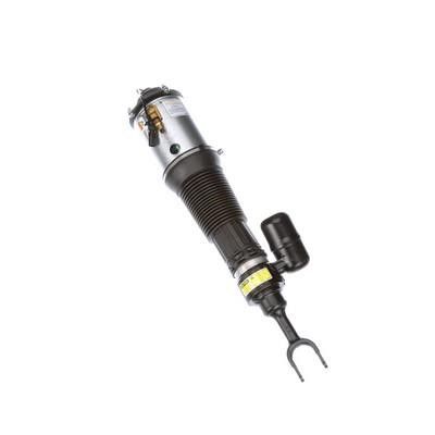 Buy Arnott AS-2581 at a low price in United Arab Emirates!