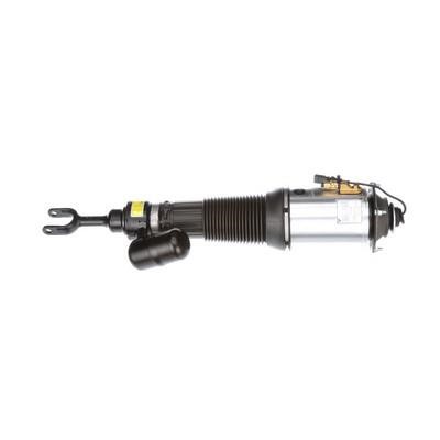 Arnott Front air shock absorber – price [object Object] PLN