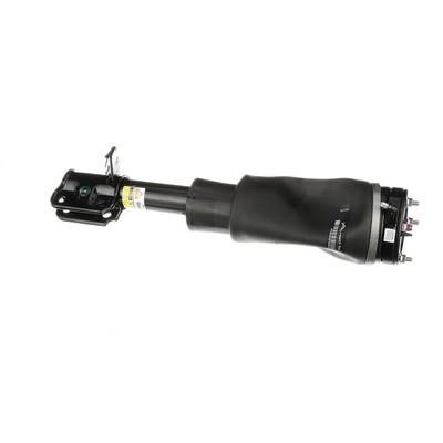 Front suspension shock absorber Arnott AS-2757