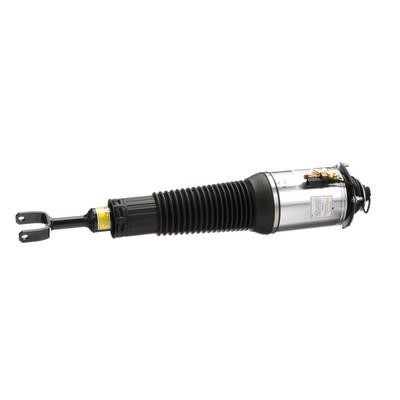 Arnott Front suspension shock absorber – price 4103 PLN