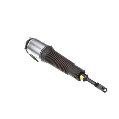 Arnott Front suspension shock absorber – price 3993 PLN