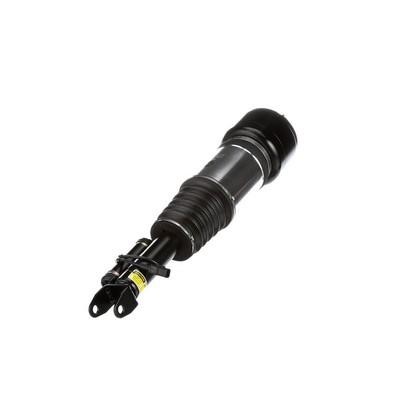 Arnott Front suspension shock absorber – price 4704 PLN