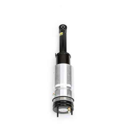 Arnott Front suspension shock absorber – price 1303 PLN