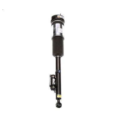 Arnott Rear suspension shock – price 2794 PLN