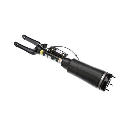 Pneumatic shock absorber Arnott AS-2833