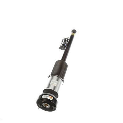 Arnott Rear suspension shock – price 2794 PLN