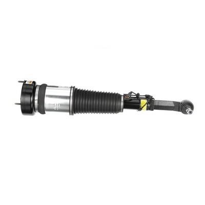 Arnott Front suspension shock absorber – price 3236 PLN