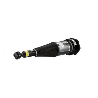 Arnott Front suspension shock absorber – price 5884 PLN