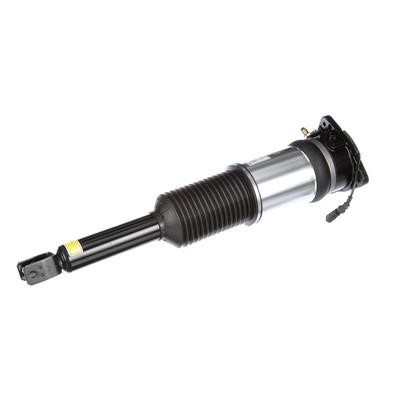 Arnott Rear suspension shock – price 4108 PLN