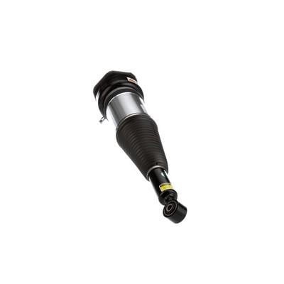 Arnott Front suspension shock absorber – price 5884 PLN