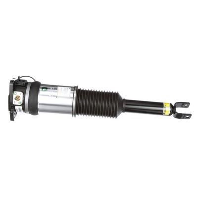 Arnott Rear suspension shock – price 4108 PLN