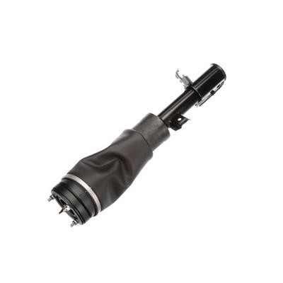 Buy Arnott AS-2961 at a low price in United Arab Emirates!