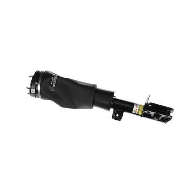 Buy Arnott AS-2962 at a low price in United Arab Emirates!