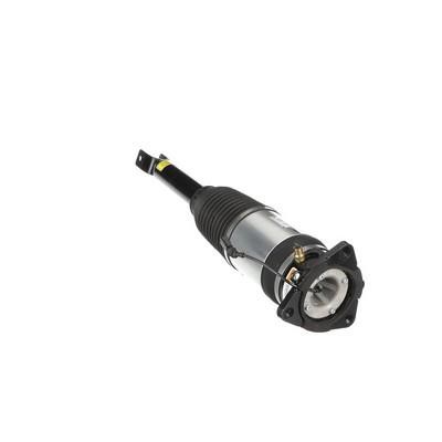 Rear suspension shock Arnott AS-2969