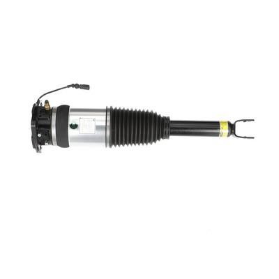 Rear suspension shock Arnott AS-2969