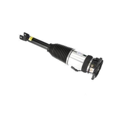 Arnott Rear suspension shock – price