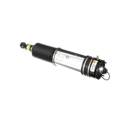 Arnott Rear air shock absorber – price 2471 PLN
