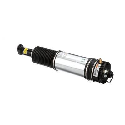 Arnott Rear air shock absorber – price 2471 PLN