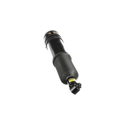 Buy Arnott AS-2978 at a low price in United Arab Emirates!