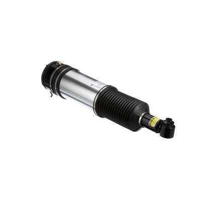 Arnott Rear air shock absorber – price 2471 PLN