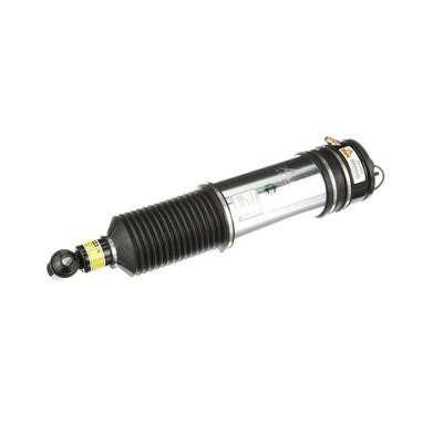 Arnott Rear air shock absorber – price 2471 PLN