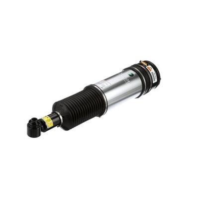 Rear air shock absorber Arnott AS-2979