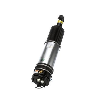 Arnott Rear air shock absorber – price 2471 PLN