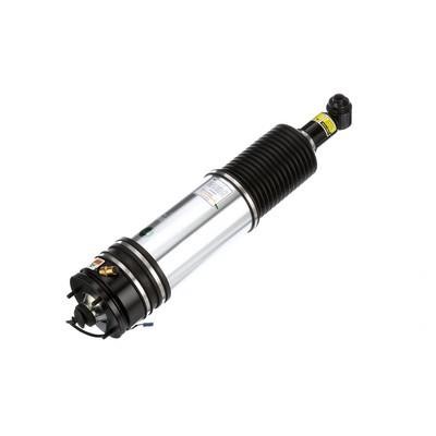Rear air shock absorber Arnott AS-2979