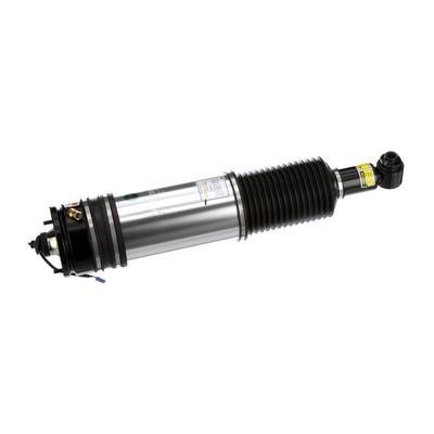 Arnott Rear air shock absorber – price 2471 PLN