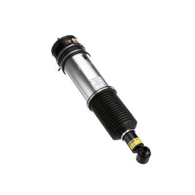 Arnott Rear air shock absorber – price 2471 PLN