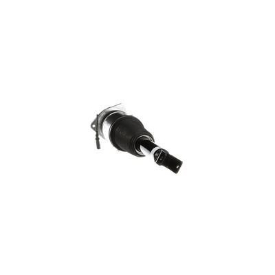 Arnott Air Spring Strut – price 3632 PLN