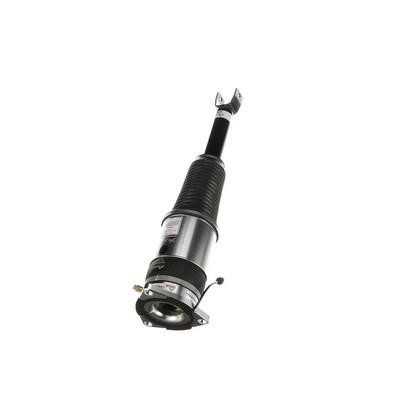 Arnott Air Spring Strut – price 3632 PLN