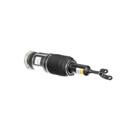 Arnott Air Spring Strut – price 1850 PLN