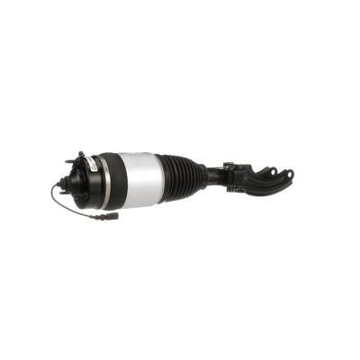 Arnott Air Spring Strut – price 3866 PLN