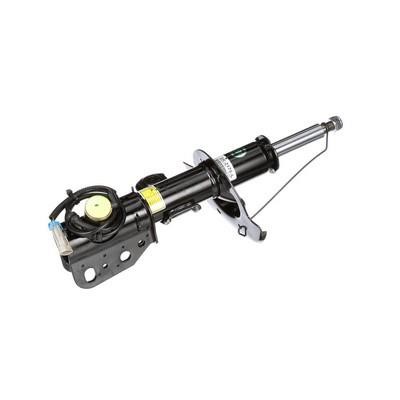 Arnott Front oil shock absorber – price 3304 PLN