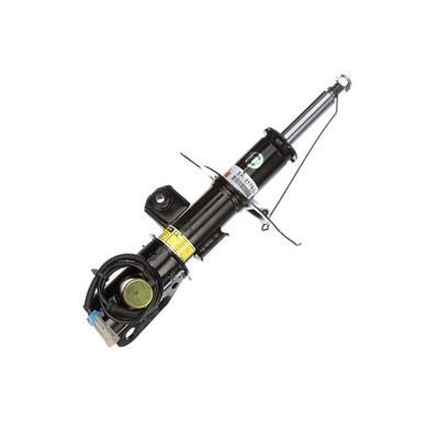 Front oil shock absorber Arnott SK-2176