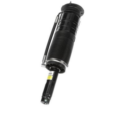 Arnott Front suspension shock absorber – price