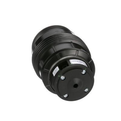 A2724 Arnott Air spring