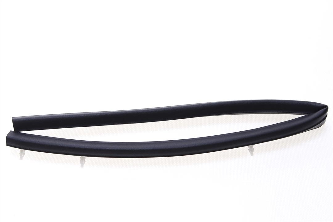 658109HP0A Nissan Hood seal