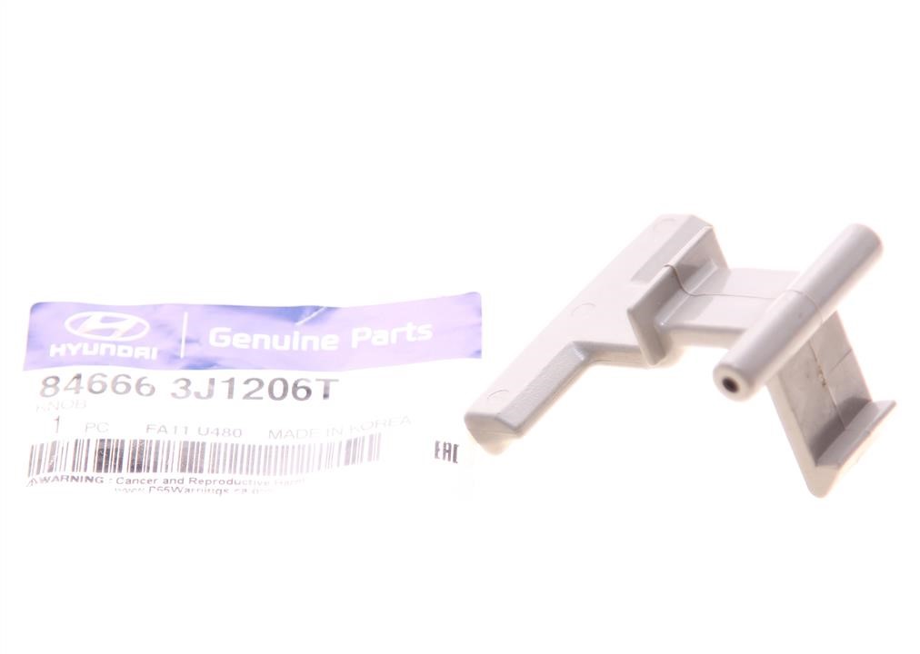 846663J1206T Hyundai/Kia Plug