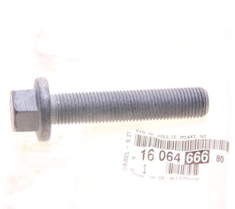 Buy Citroen/Peugeot 16 064 666 80 at a low price in United Arab Emirates!