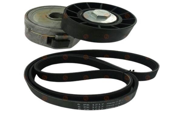 Eurorepar 1612059680 Drive belt kit 1612059680