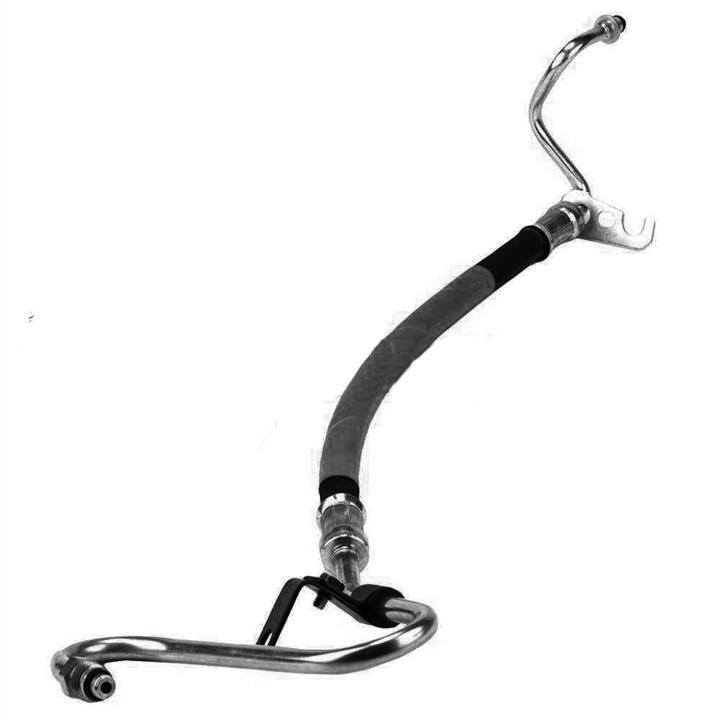 1066696 Ford High pressure hose with ferrules