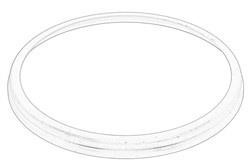 Iveco 41042012 Ring sealing 41042012