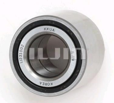 Iljin IJ231002 Rear wheel hub bearing IJ231002