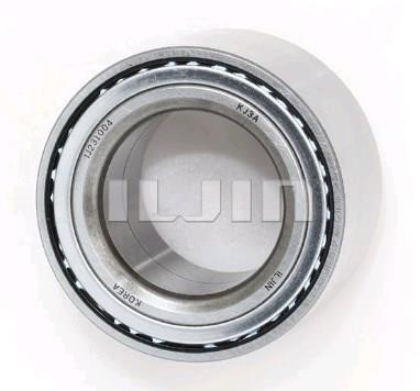 Iljin IJ231004 Front wheel bearing IJ231004