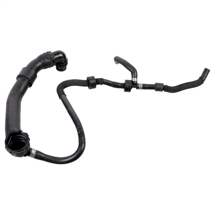 Car coolant hose Audi A3: 175805 febi Radiator hose