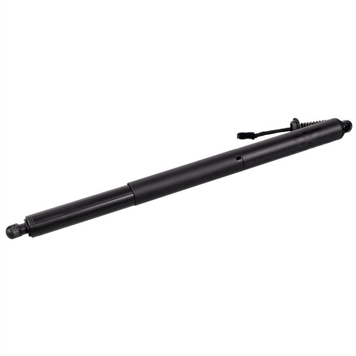 179301 febi Tailgate strut